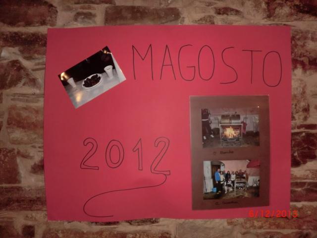 magosto14