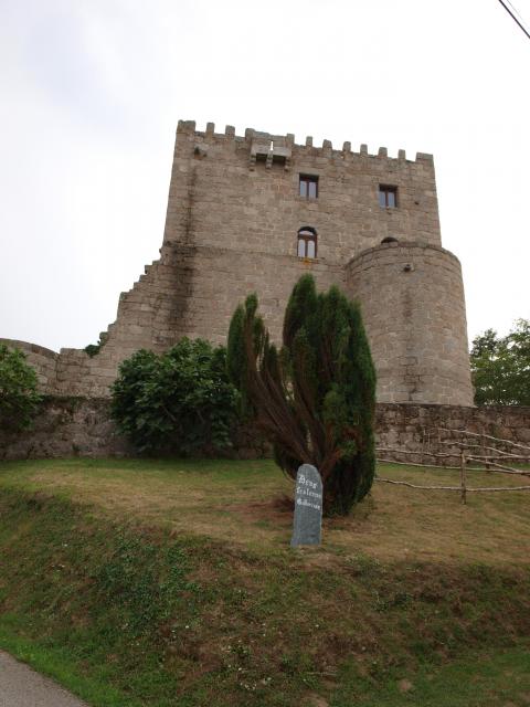 TorrePardodeCela (7)